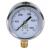 1/4 inch Pressure Gauge