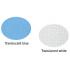Walu Translucent Colours